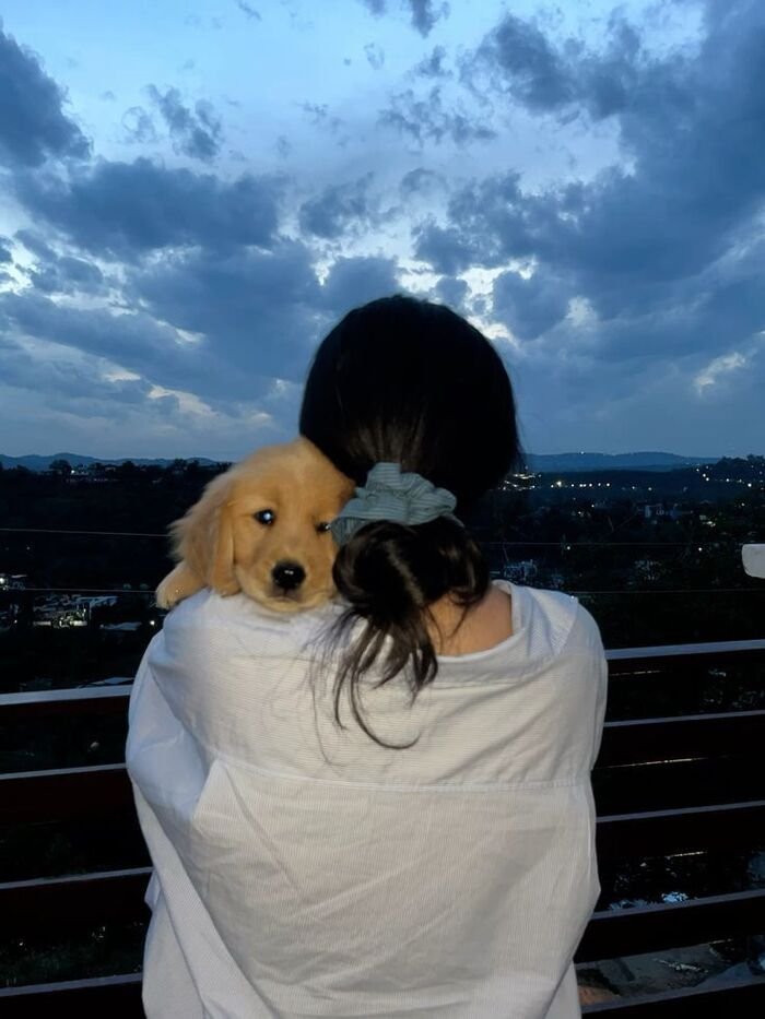 aethetic attractive instagram hidden face dp for girls full hd