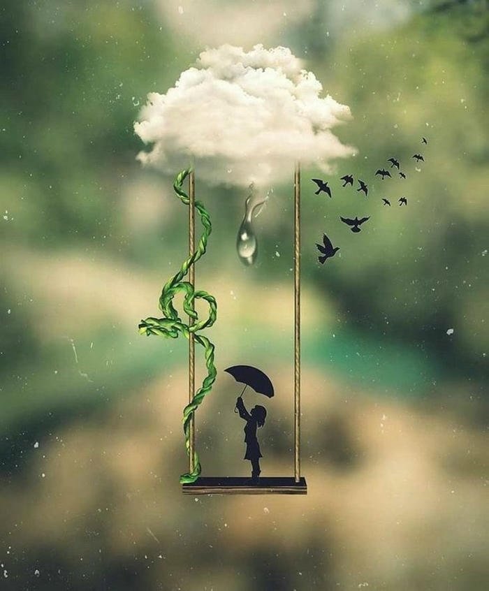 beautiful birds images for whatsapp dp