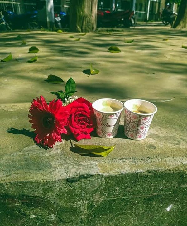 beautiful dp picture