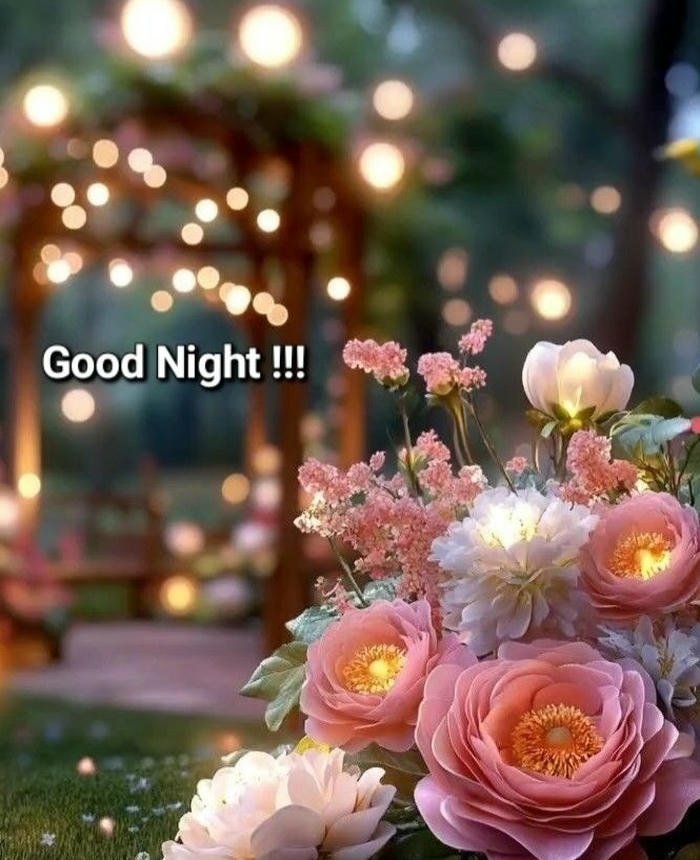 beautiful good night picture