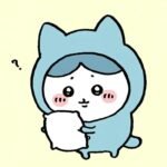 cute cat images for dp