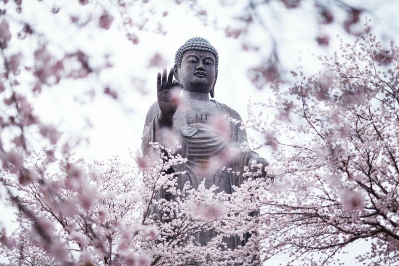 laughing buddha hd wallpaper