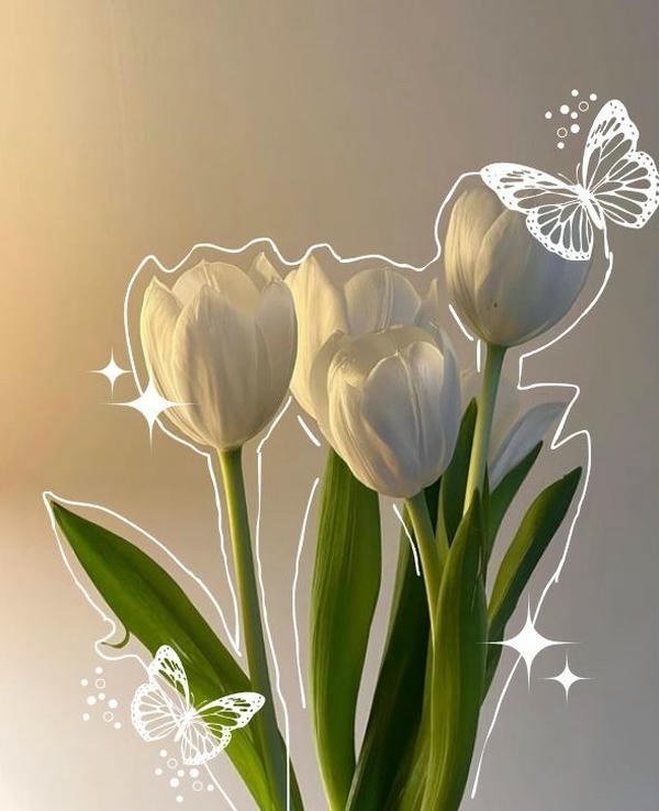 whatsapp profile picture for girl