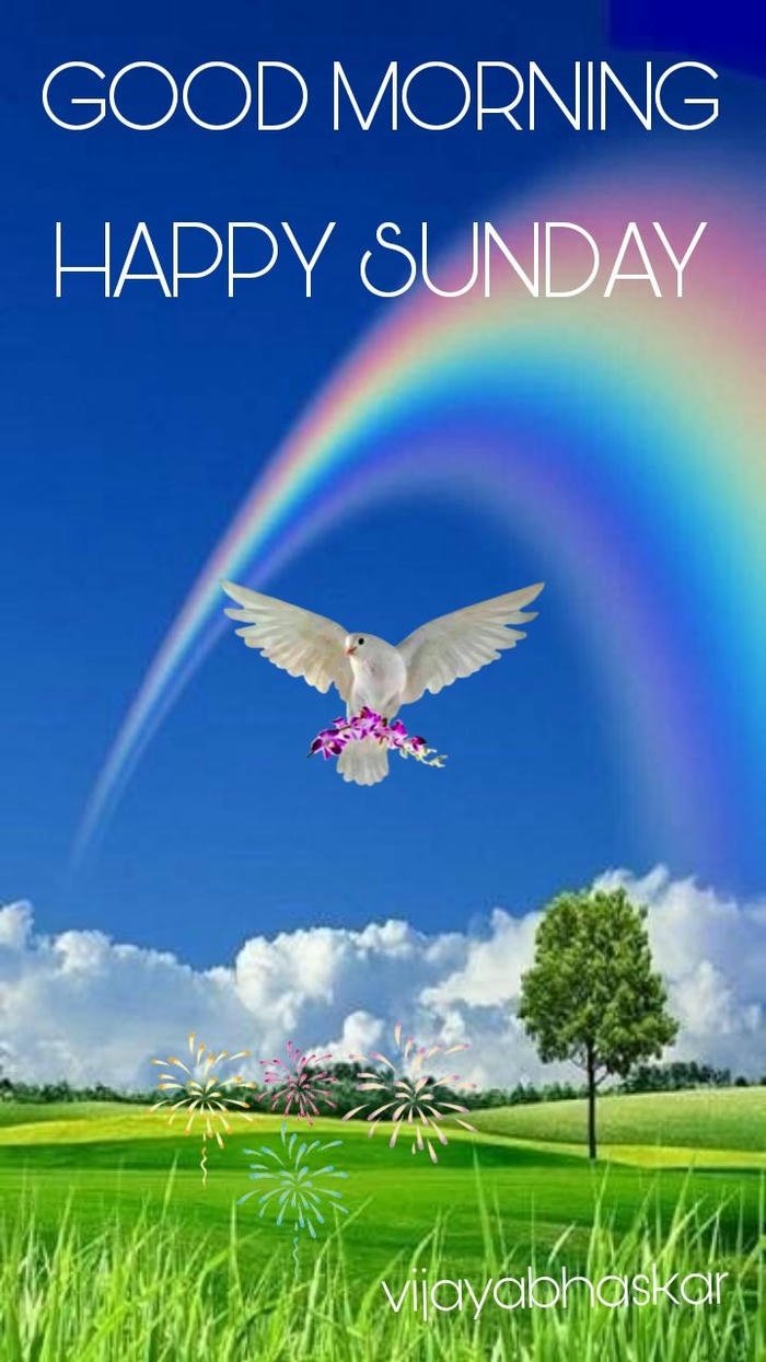 4k good sunday morning full hd smile special god cute images