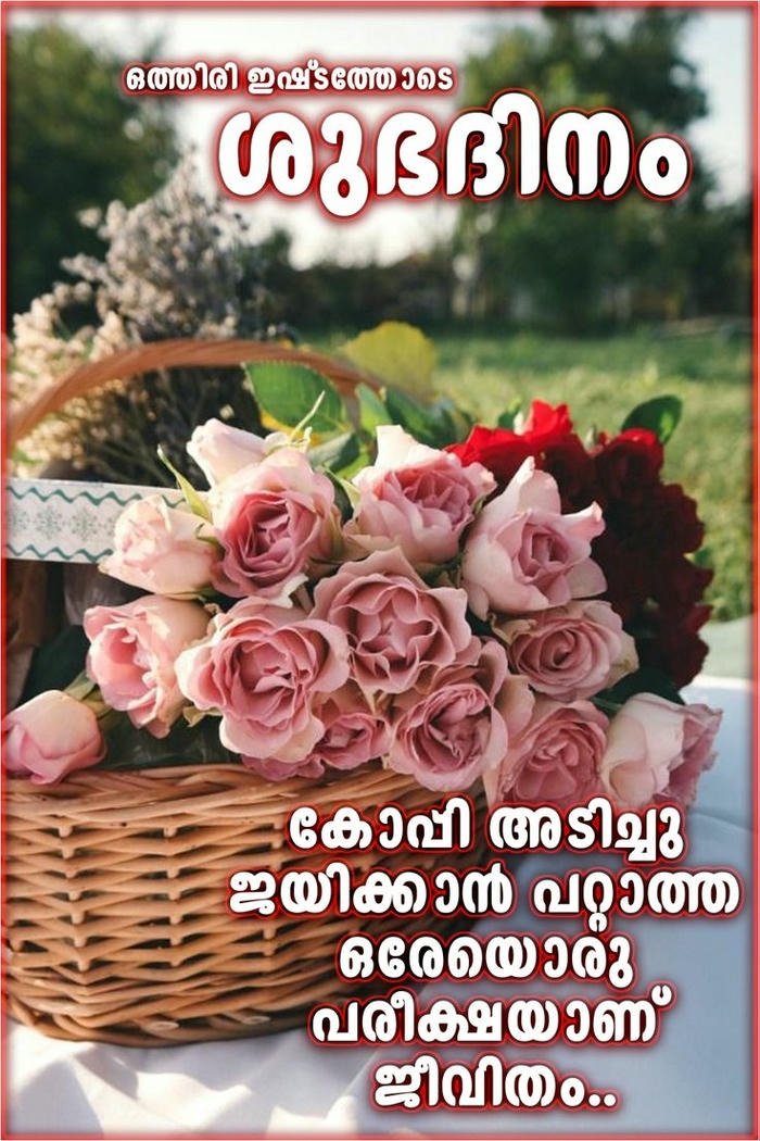 4k greeting malayalam good morning romantic images spiritual nature