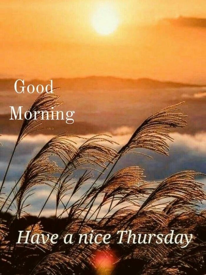 4k love morning good images greeting special god cute thursday