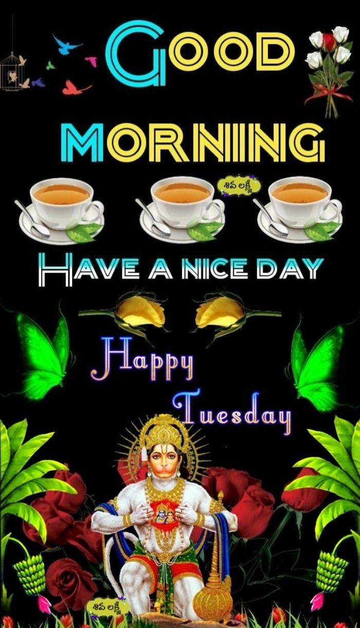 4k morning good new images quotes photo tuesday picture god