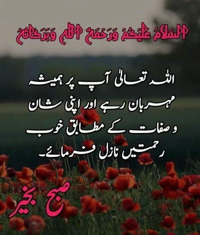aesthetic good nature morning urdu spiritual in images smile greeting