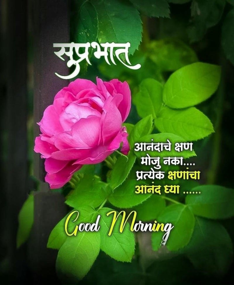 aesthetic good peaceful new morning images special spiritual marathi download (1)