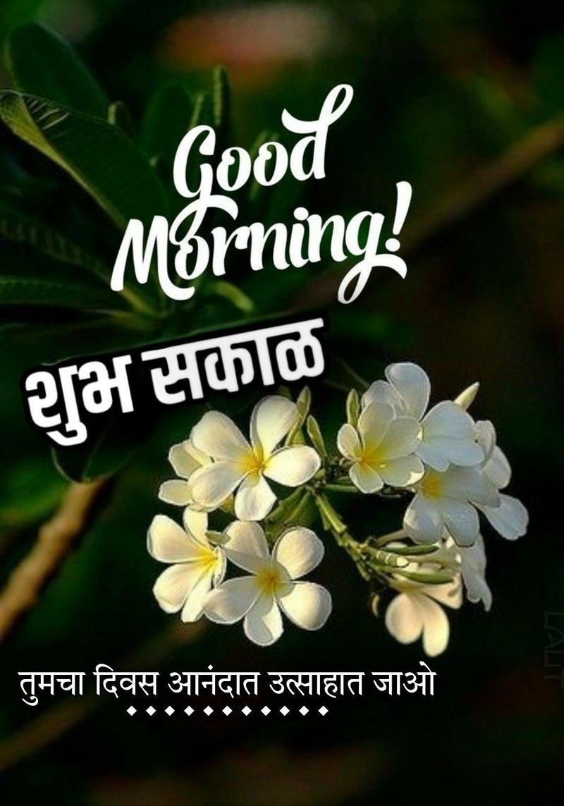 aesthetic good peaceful new morning images special spiritual marathi download (2)