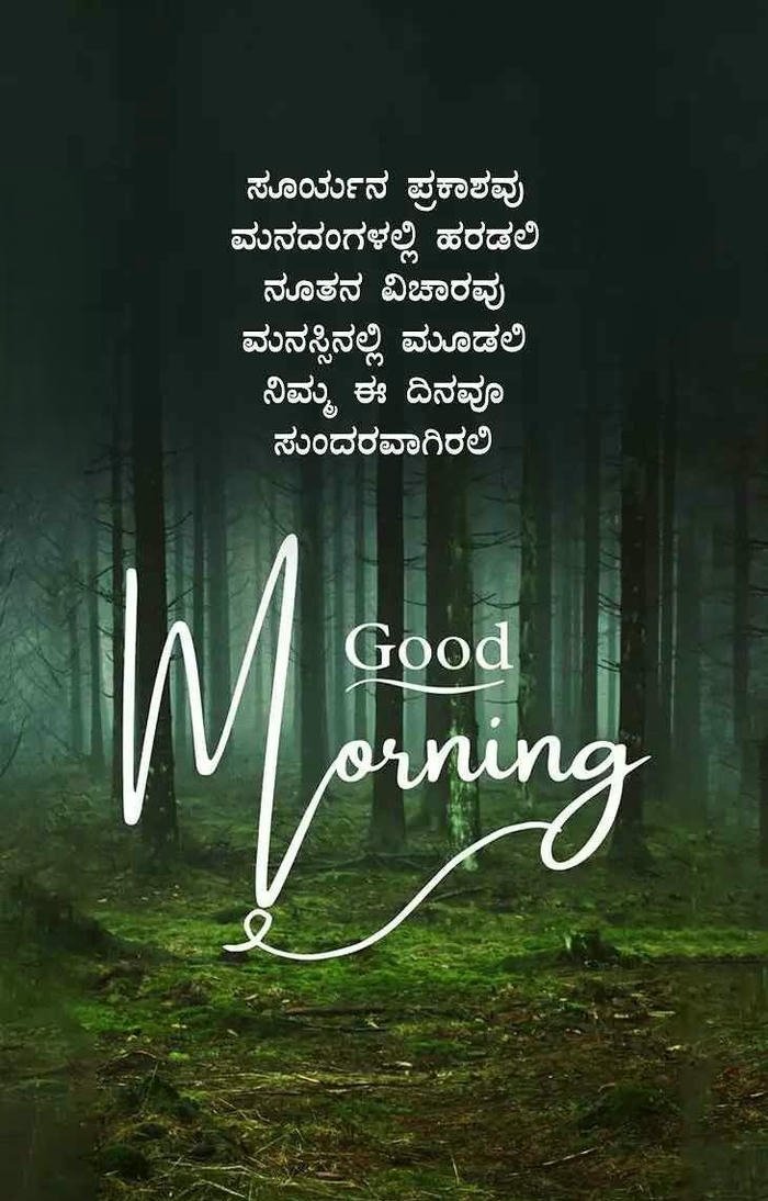 aesthetic love kannada flowers images in morning positive nature good