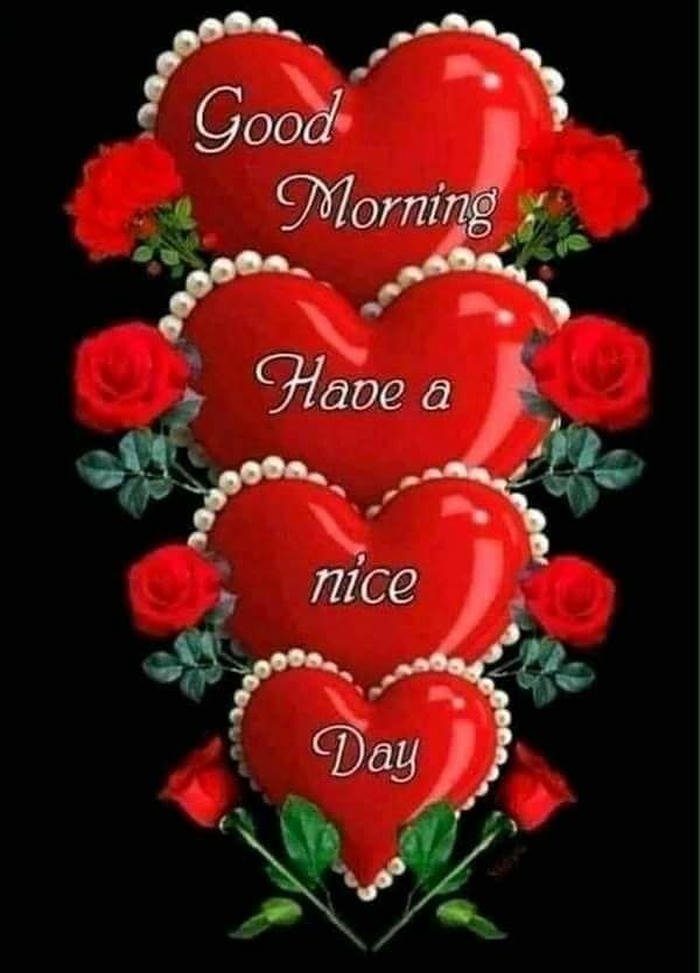 aesthetic morning good rose peaceful happy images photo wallpaper red