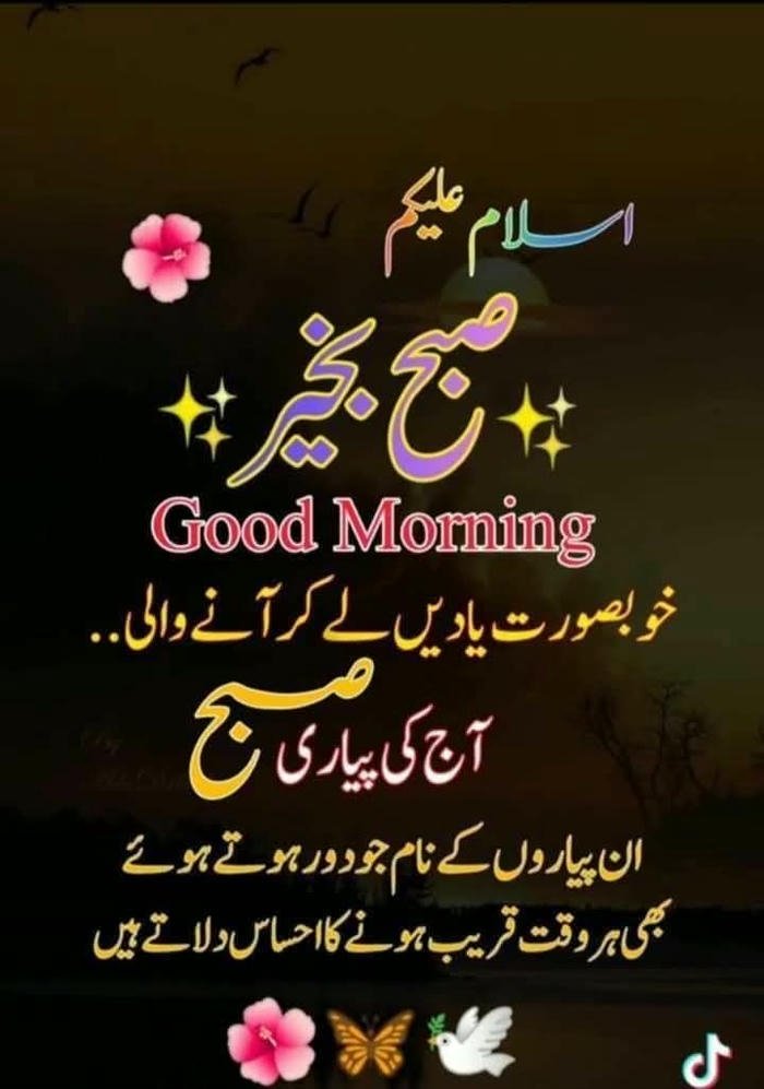 aesthetic urdu images special good nature morning in picture peaceful