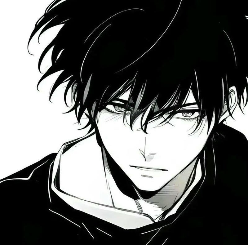 anime dp 31