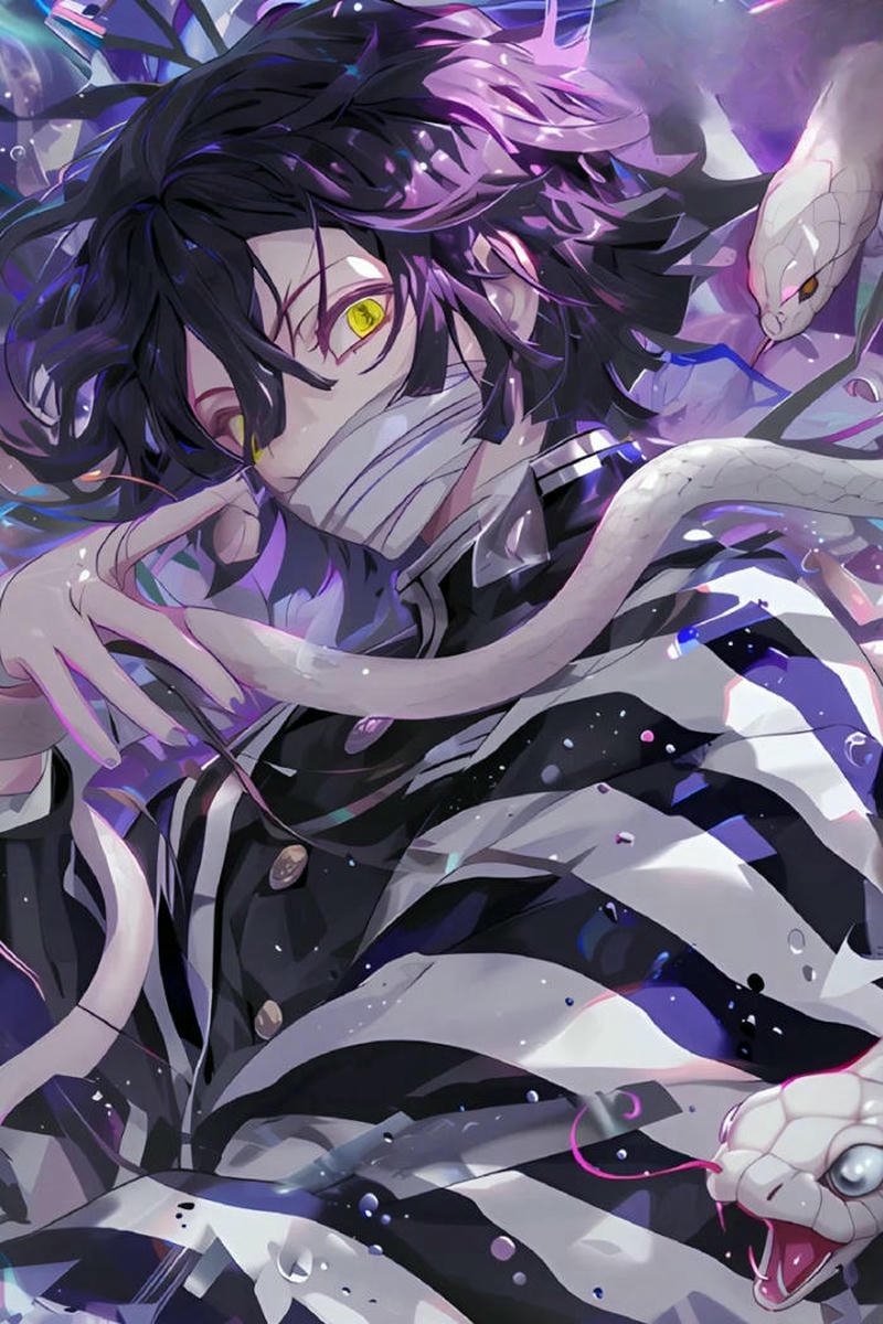 anime dp 8