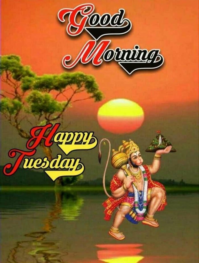 beautiful god greeting images flowers quotes tuesday picture morning good