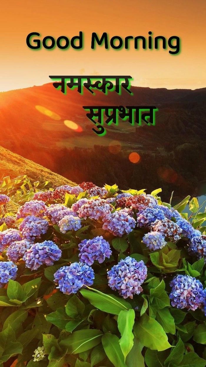beautiful good photo image wallpaper morning peaceful suvichar download