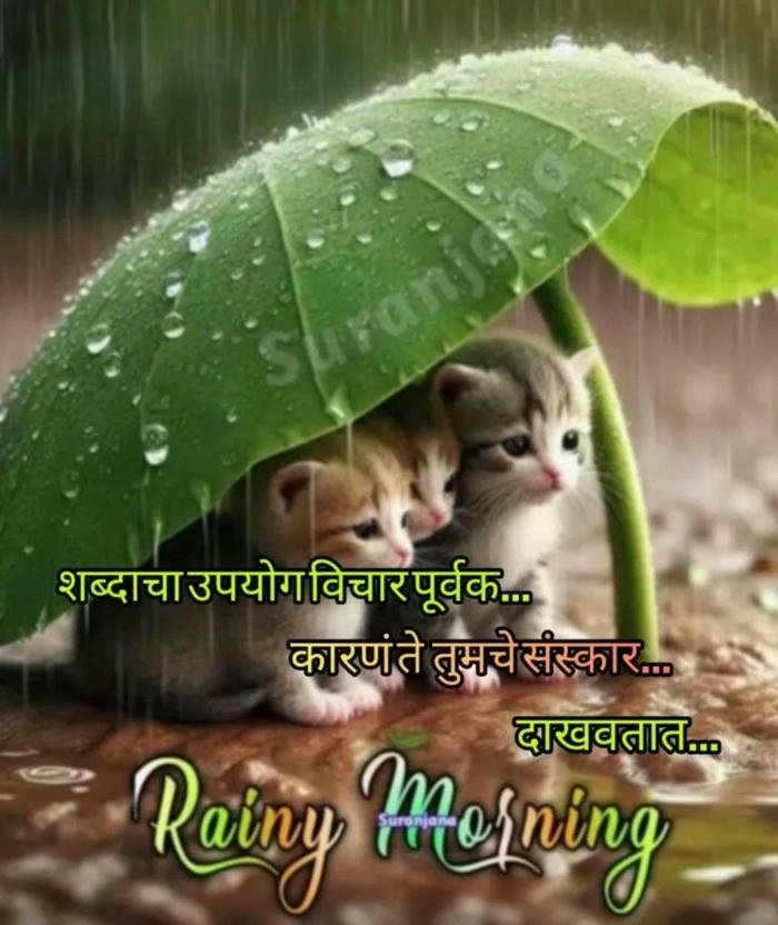 beautiful greeting morning rain photo nature good images romantic