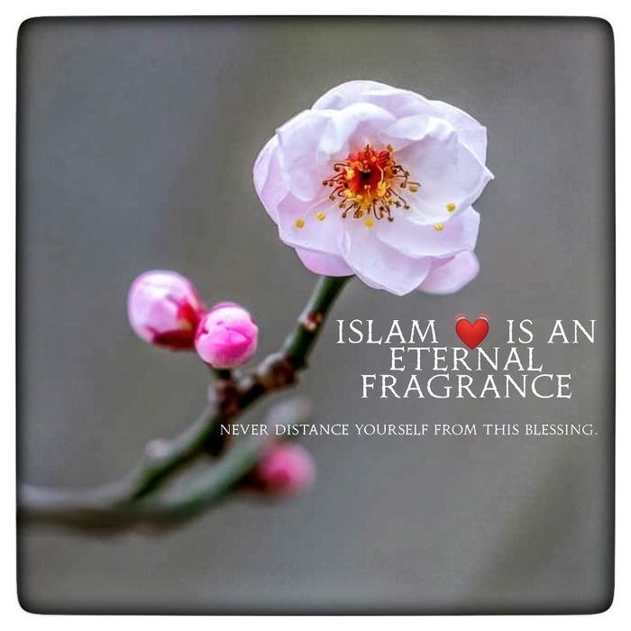 beautiful islamic images status
