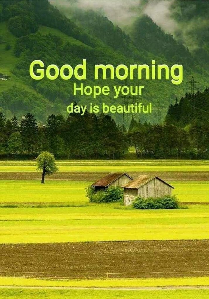 beautiful nature good morning images 2025