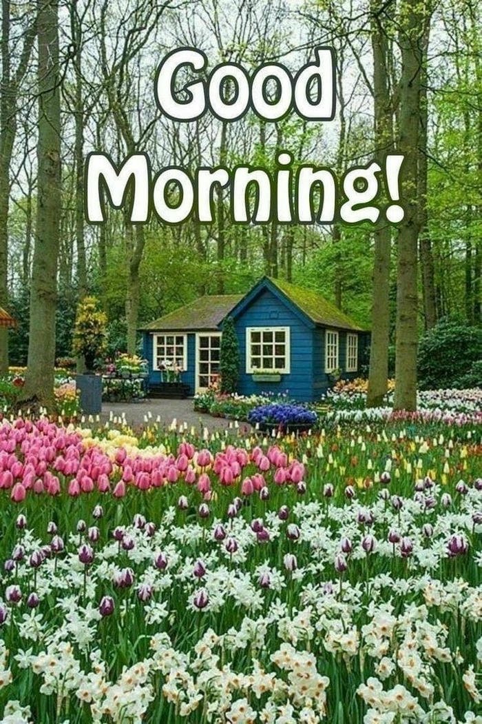 beautiful nature good morning images bright
