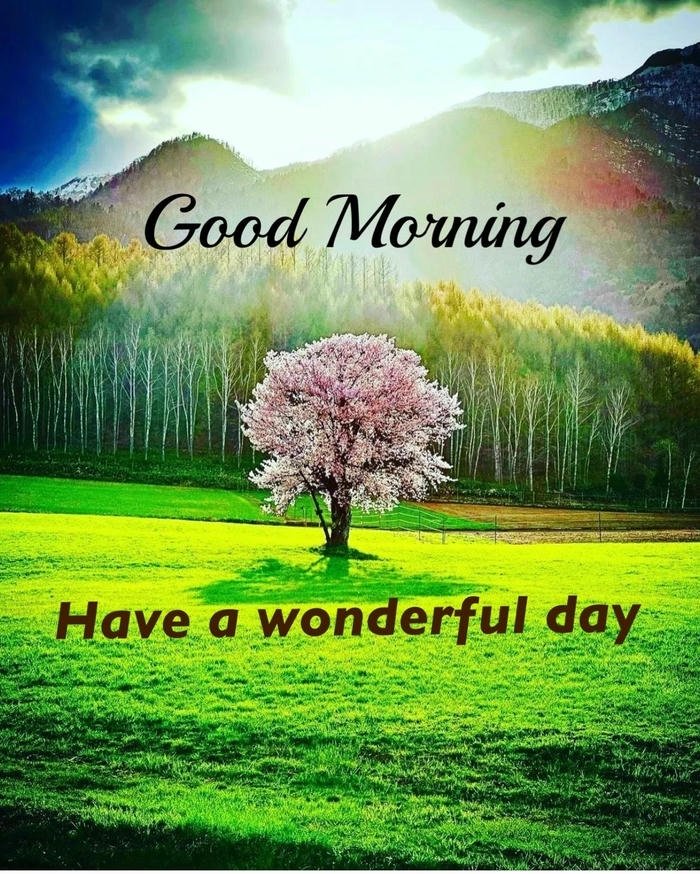 beautiful nature good morning images for her