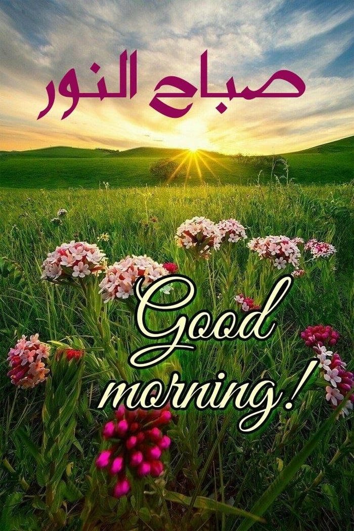 beautiful nature good morning images for him