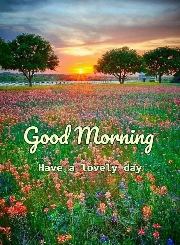 beautiful nature good morning images with love