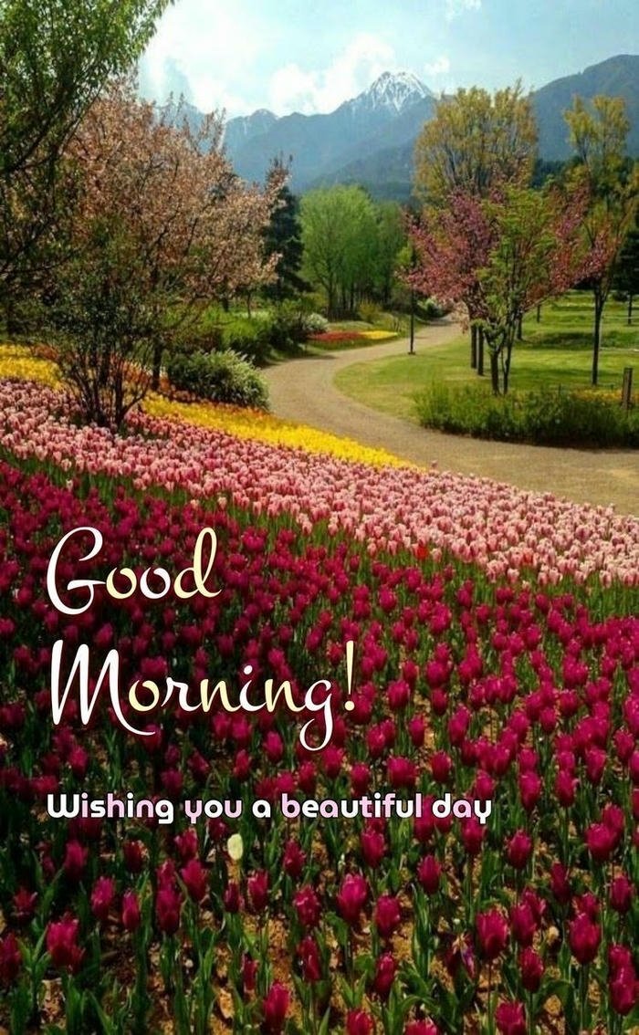 beautiful nature good morning images with ocean view
