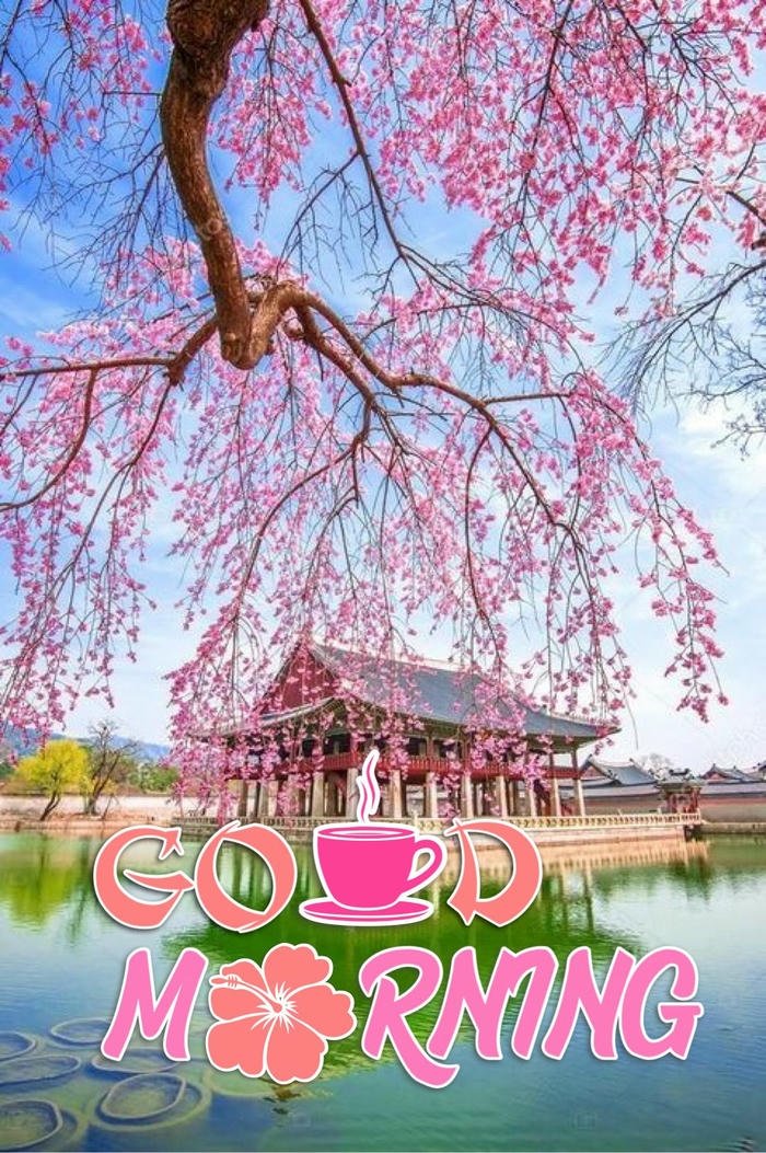 beautiful nature good morning images with text
