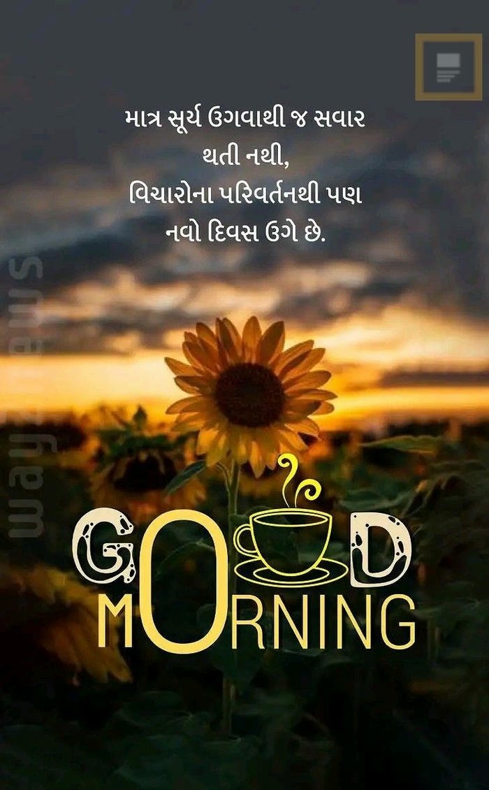 beautiful wallpaper inspirational good gujarati aesthetic morning image smile