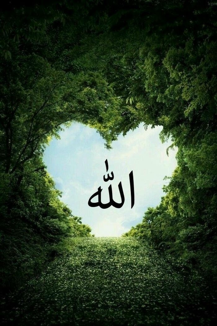 best islamic dp images status