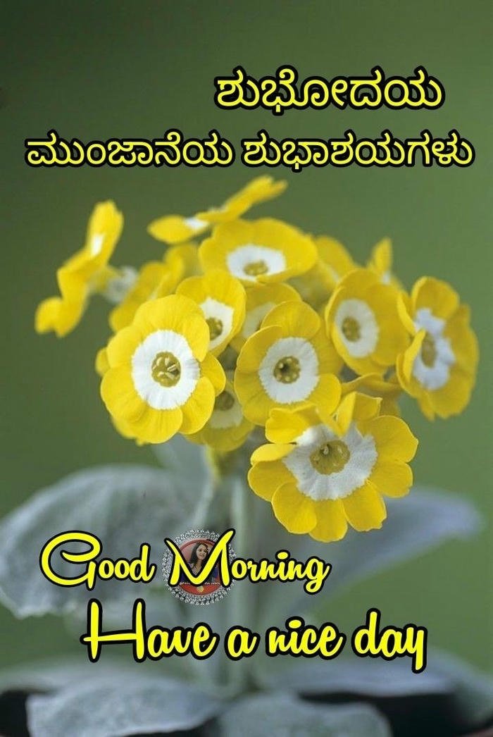 blessing positive kannada images morning aesthetic greeting in photo good