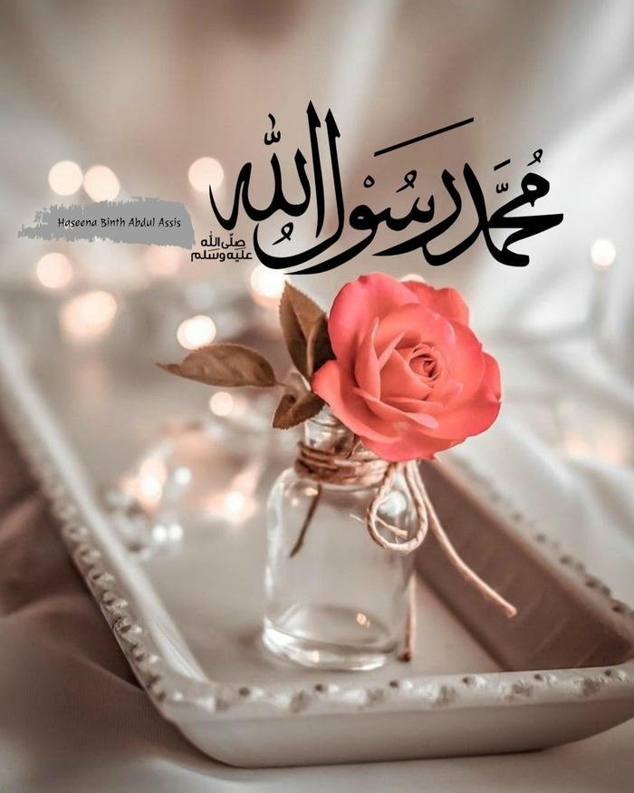 cool best islamic dp images status