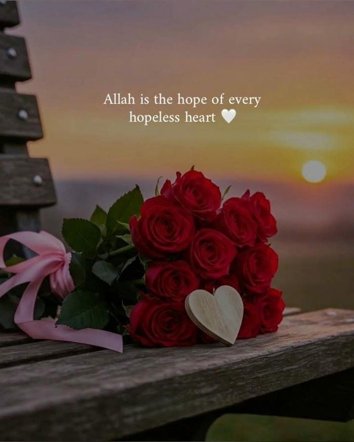 cool instagram islamic dp status
