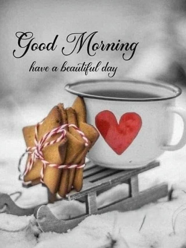 Good Morning Christmas Images Joyful Festive Greetings