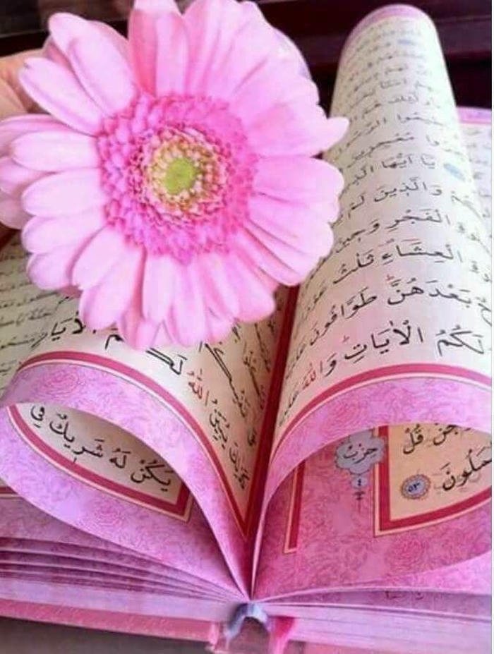 cute beautiful islamic images status