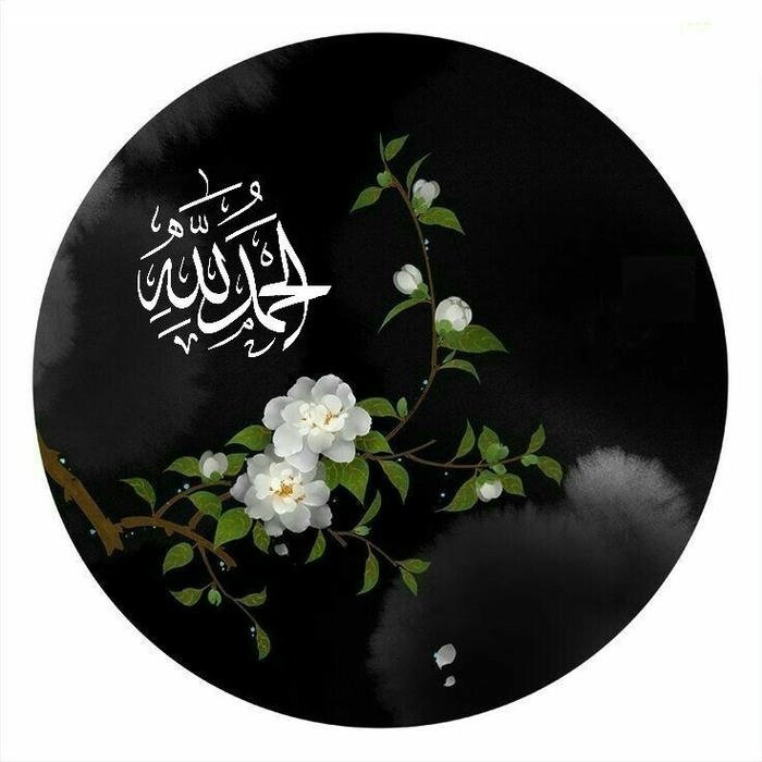 cute best islamic dp images status