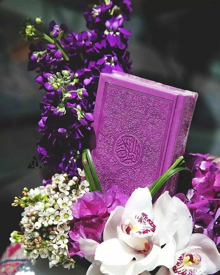 cute islamic profile pic photo