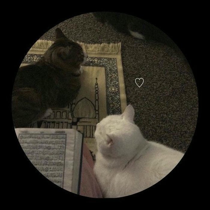 cute islamic profile pic pics