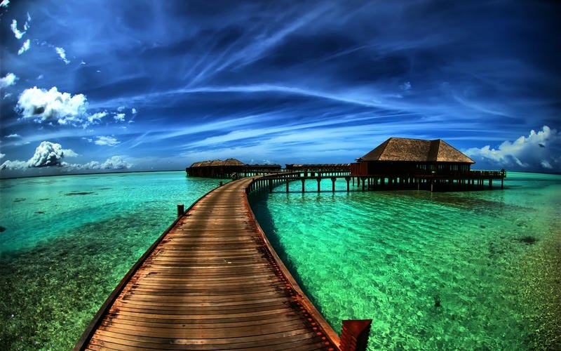 cute nice pictures photo