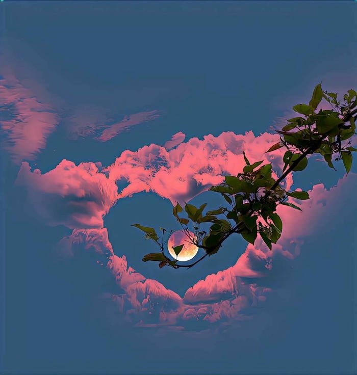 cute photo for whatsapp dp photo