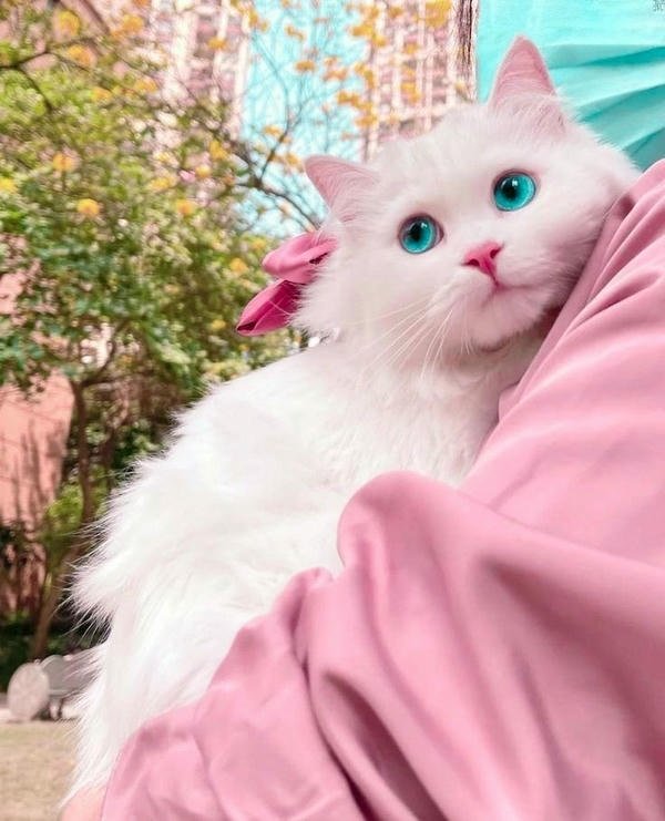 cute profile pic for girls with coffee