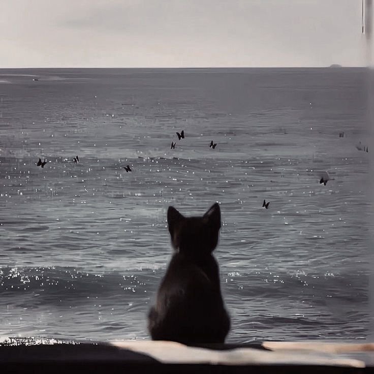 Processed with VSCO with dog1 preset