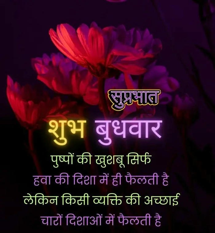 download spiritual shayari morning image wallpaper special full hd good