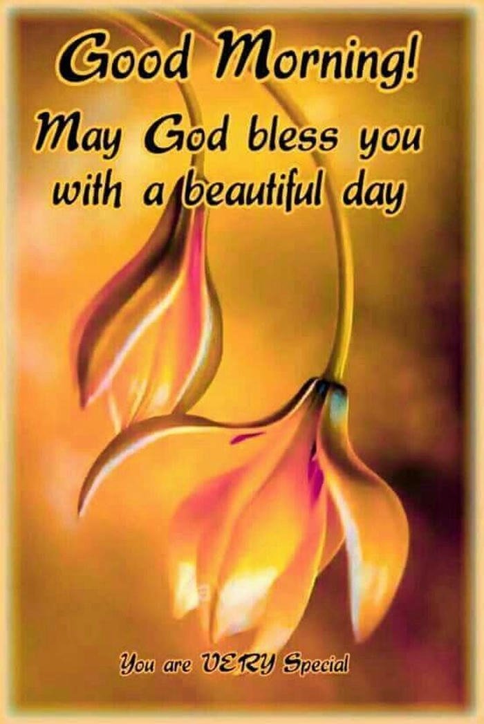 flowers good suvichar image full hd love download special morning
