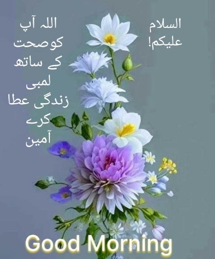 flowers in images wallpaper urdu greeting smile aesthetic morning good