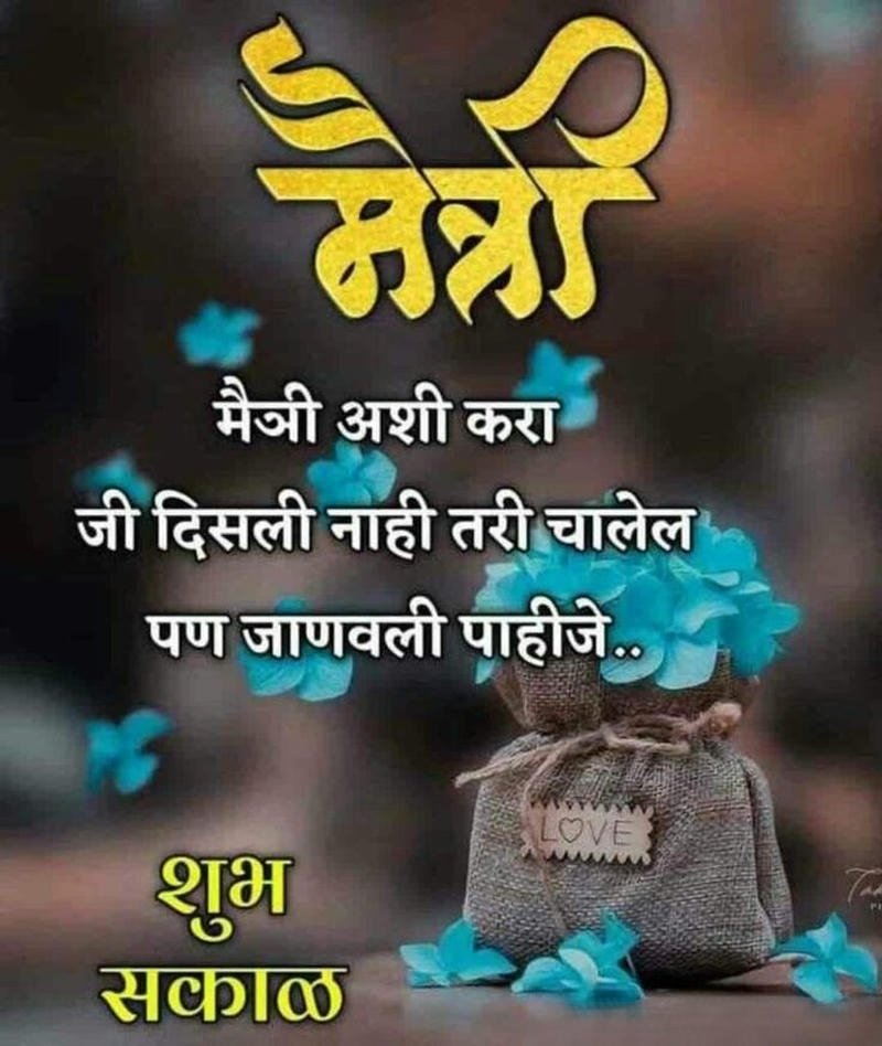 flowers morning special positive good greeting marathi love images new