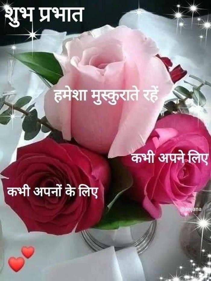 full hd download picture image morning shayari flowers good new
