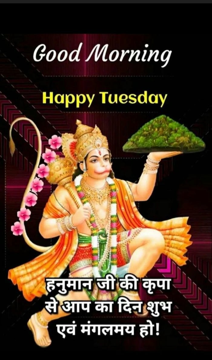 god download cute tuesday nature morning good happy greeting images